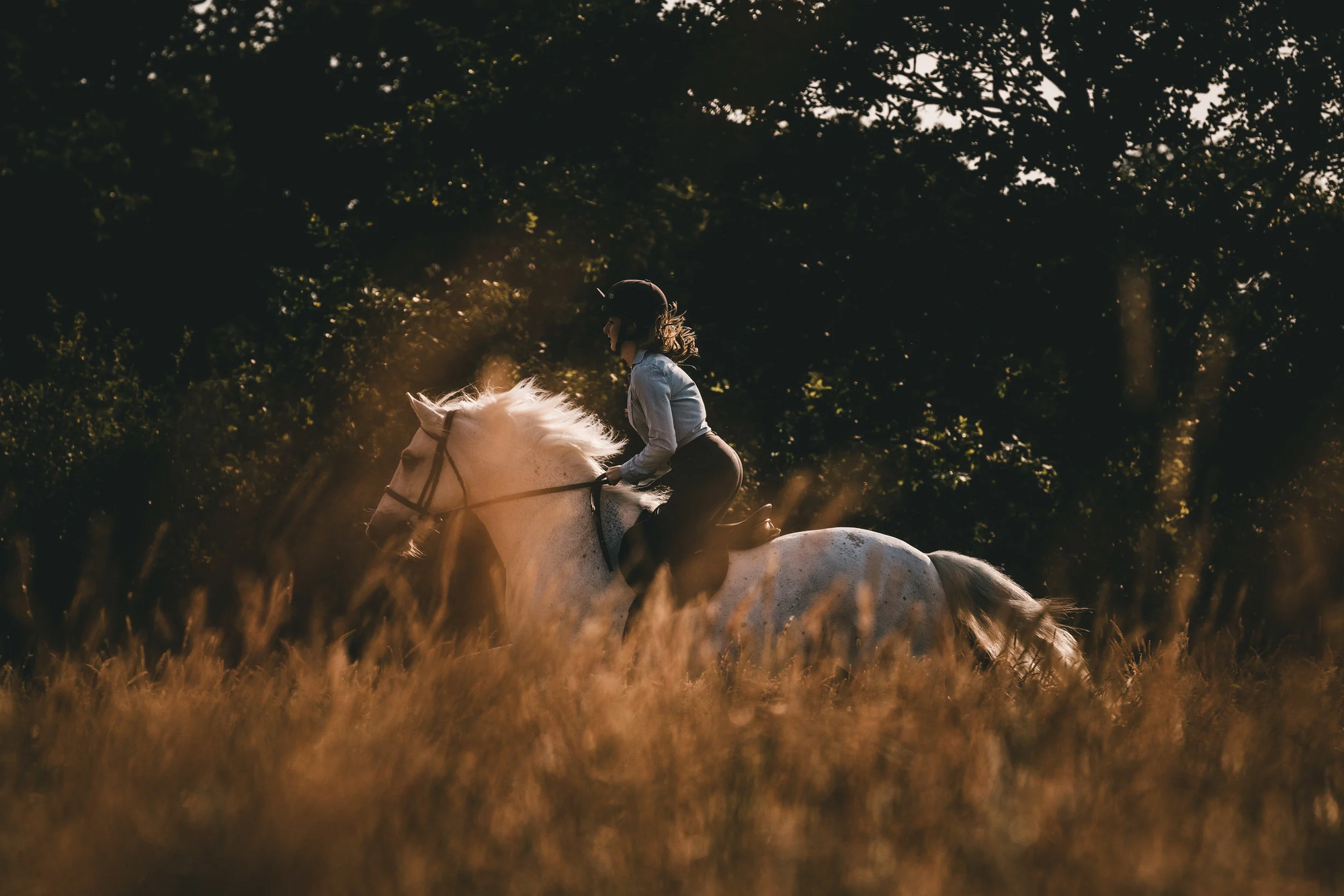 Everyday Adventure Breeches